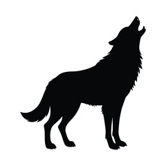 Silhouette of wolf on white background