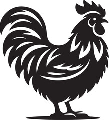 rooster isolated on white background