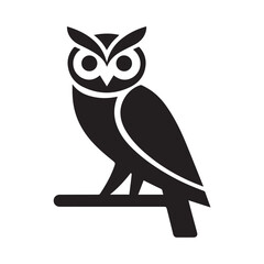 owl on a white background