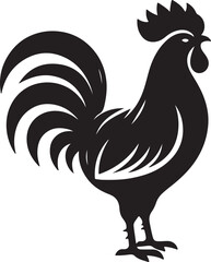 rooster isolated on white background