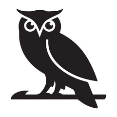 owl on white background