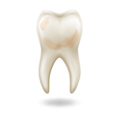 Detailed anatomical tooth illustration in realistic style displaying dental health or issues isolated on white background with copy space.
