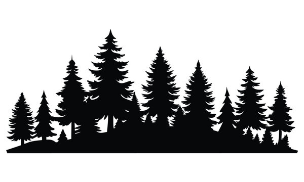 Forest of Christmas fir trees silhouette. Coniferous spruce panorama. Park of evergreen wood. Vector on white background