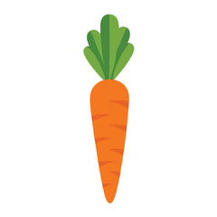 Illustration of Fresh Orange Carrot with Green Leaves.