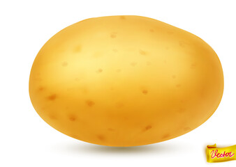 High-quality vector illustration of a fresh yellow potato with natural texture and soft shadow. Isolated on white background. Ideal for food packaging, farming, cooking, and healthy eating concepts