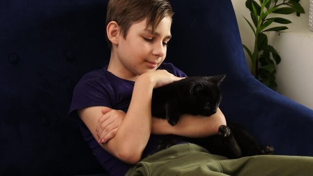 Brothers play with cats at the sofa