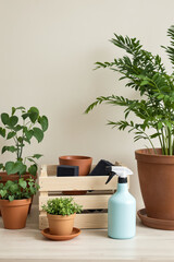 Fototapeta premium assortment of potted plants with gardening tools