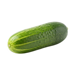 A vibrant green cucumber, plump and juicy, ready for a refreshing summer salad or sandwich, showcasing its smooth skin and glistening texture against a bright white background.