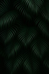 Lush Green Palm Leaves Create a Serene Backdrop in a Tropical Environment During Daylight Hours