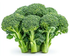 Fresh broccoli bunch showcasing vibrant green florets and healthy stems