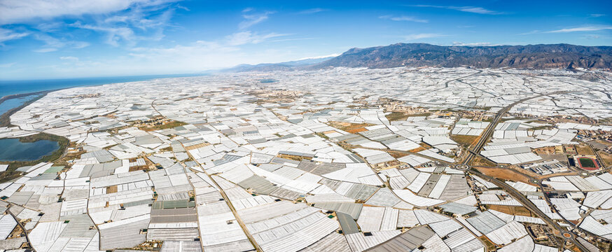 Panoramic Aerial view of Mar de Plastico, Sea of ​​Plastic, in Almer&iacute;a. A vast expanse of land covered with plastic greenhouses for the production of fruits and vegetables, larger than Almer&iacute;a itself