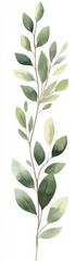 Elegant watercolor branch with green leaves, showcasing nature's delicate charm against a white background.