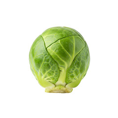 Fototapeta premium A vibrant, fresh Brussels sprout, showcasing its tightly packed leaves and bright green hue against a clean white background.