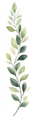 Fototapeta premium Elegant watercolor green branch with delicate leaves on a white background. Perfect for nature-inspired decor.