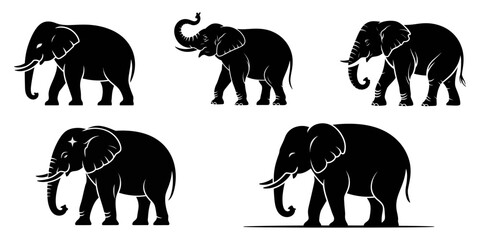 set of silhouettes of elephants, set of elephants, Elephant silhouette set collection isolated black on white background vector illustration, elephant collection, set black silhouette vector.