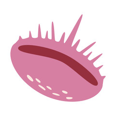 Pink seashell isolated white background. Hand drawn illustration.