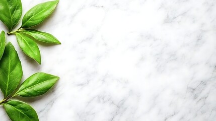 Fresh Green Leaves on Elegant White Marble Background for Nature Inspired Designs