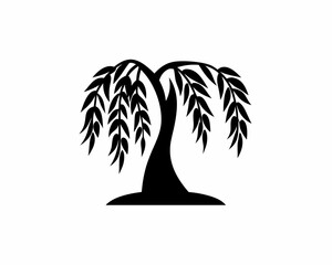 creative details Willow Tree Icon Vector Illustration