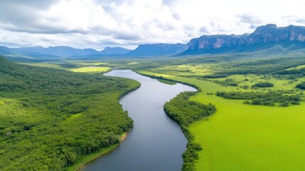 Obraz premium Serene river winding through lush valley, flanked by mountains. A picturesque landscape of green meadows and dense forests, meeting a calm flowing river