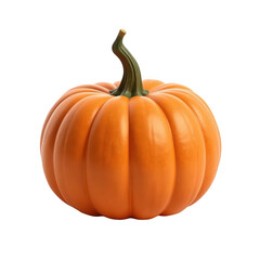 A single orange pumpkin isolated over png transparent background