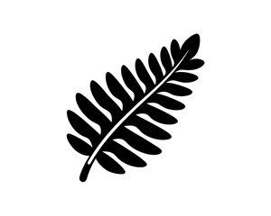 Fototapeta premium creative details Fern Leaf Icon Vector Illustration