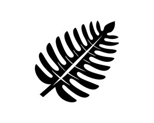 creative details Fern Leaf Icon Vector Illustration