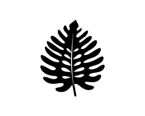 creative details Fern Leaf Icon Vector Illustration