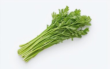Bright green samphire sprigs arranged on a solid white background.  The image features a close-up view of the fresh vegetable, highlighting its texture and color
