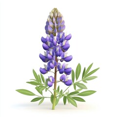 Fototapeta premium Vibrant purple lupine flower with lush foliage.