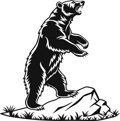 black bear vector illustration