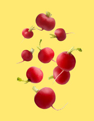 Fresh ripe radishes falling on yellow background