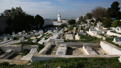 Obraz premium Cementerio de Sidi Bou Said, Túnez
