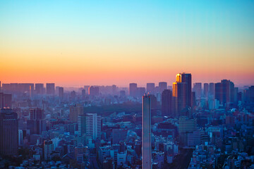 Fototapeta premium japan