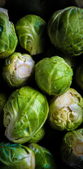 Brussel sprouts macro dark nature wallpaper background