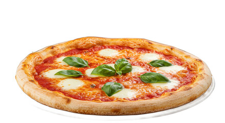 A close up shot of a margarita pizza with basil leaves on a white plate against black background