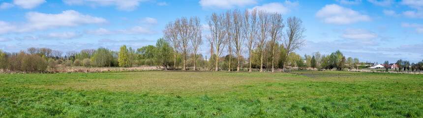 Obraz premium The Paddenbroek wetland meadow nature reserve in Kluisbergen, East Flemish Region, Belgium