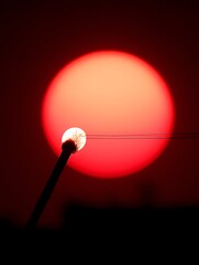 Fototapeta premium A round object with a stem, positioned in front of a large red sphere. There are some wires behind the object. There is a dark horizon below the objects.