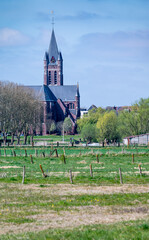 The Saint MArtin church and green countryside of Avelgem, West Flanders, Belgium