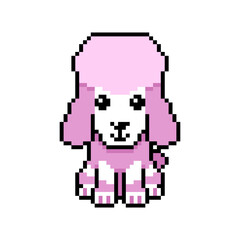 Obraz premium Pixel art cute poodle dog vector in retro style for design.