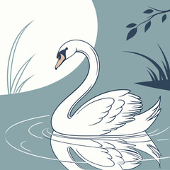 Elegant Swan Floating on Calm Lake with Reflections