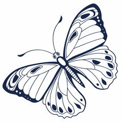 Morpho Butterfly – Wide Wings Minimal Design
