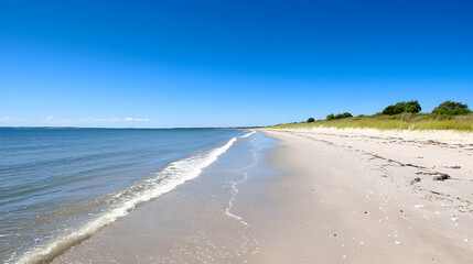 Coastal Beach Scenery Under Sunny Sky