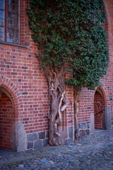 window in the old castle