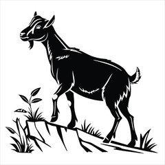 wild horse vector illustration