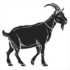 goat on white background