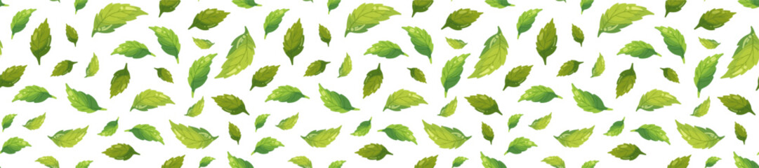 Tea leaves horizontal seamless pattern isolated on white background, mint leaf for long banner, eco package, spring summer fabric fresh print, balm health pharmacy, botanical design, ecology nature © Veronika Schrigen