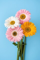 A bouquet of flowers with a blue background. The flowers are pink, white, and yellow
