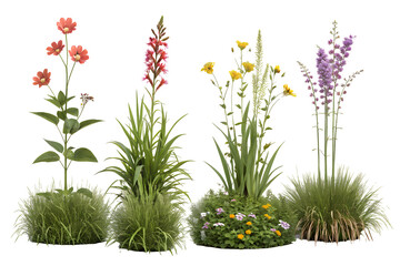 Fototapeta premium Colorful Garden Flowers Set