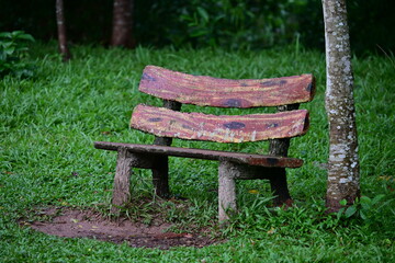 An abandoned, old wooden bench deep in the jungle of Vietnam.