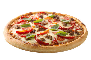 Delicious Pepperoni and Meat Pizza